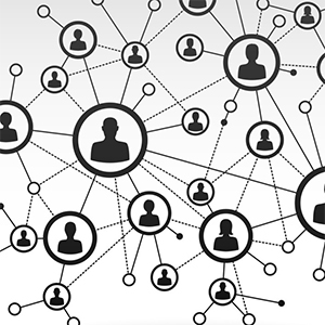 Organizational Structure Diagram